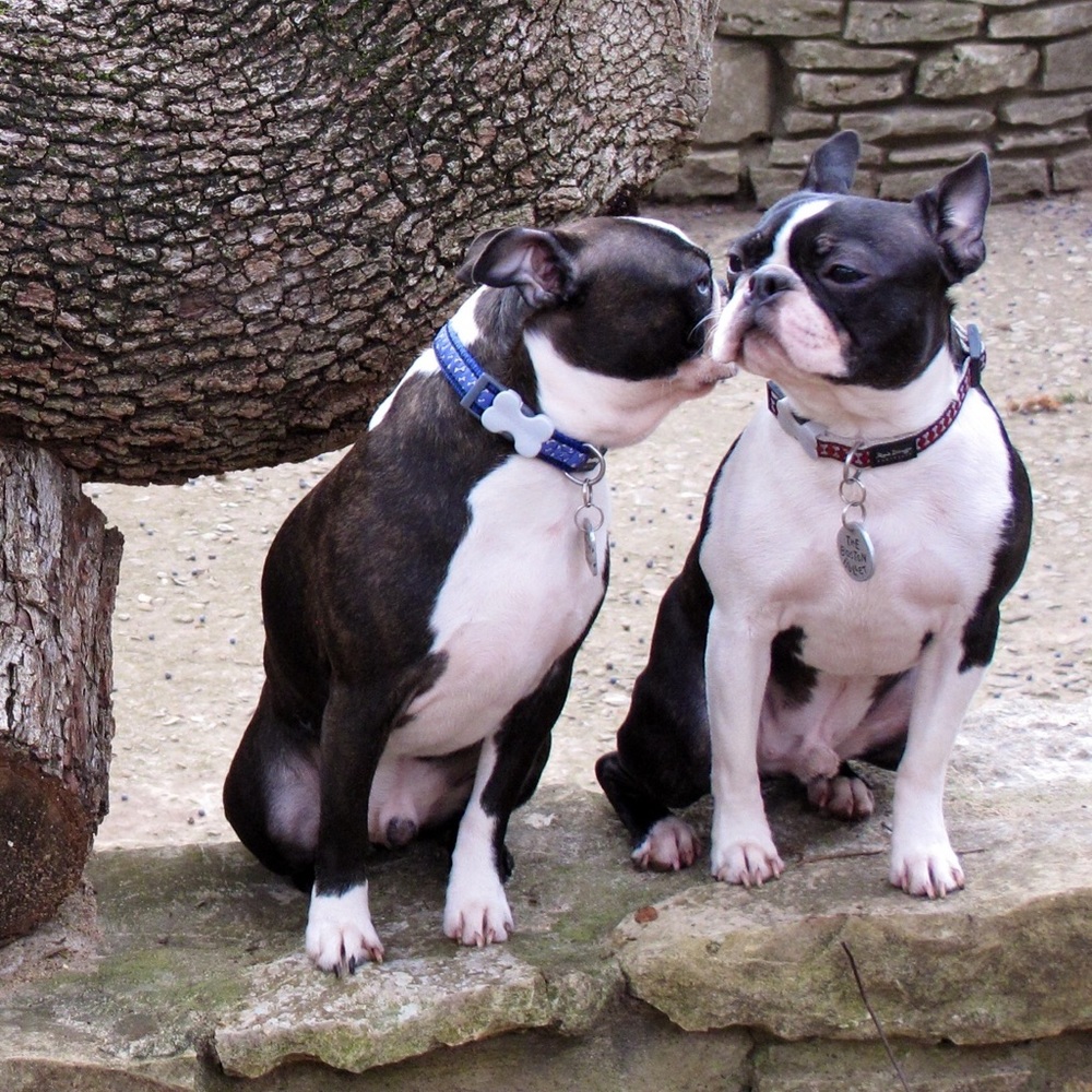 Meet your Posher, Theresa